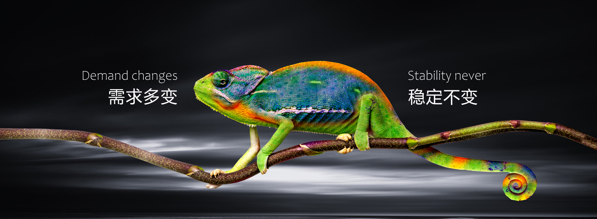  乐玩乐玩(中国)